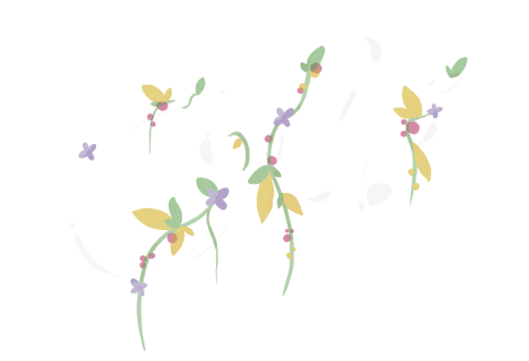 TAMASH